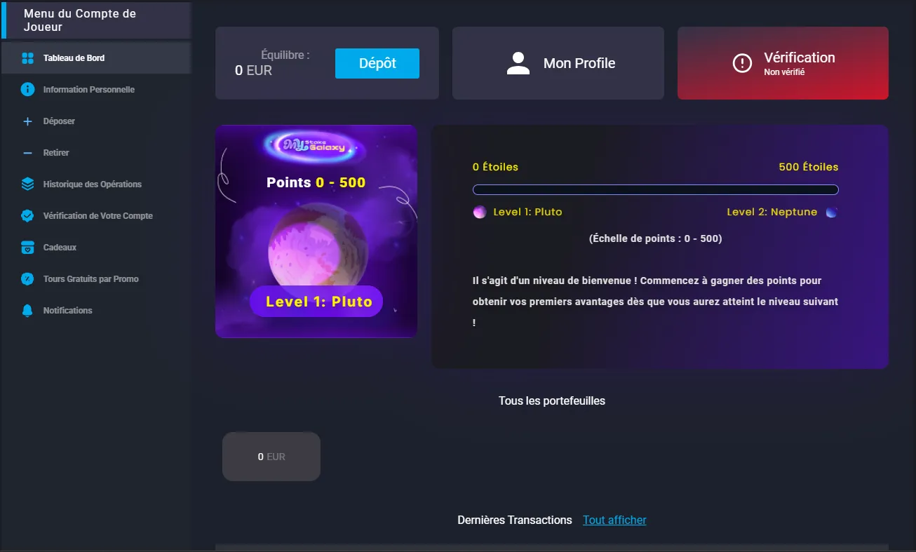 Tableau de bord du compte MyStake avec le solde, la vérification et le niveau VIP